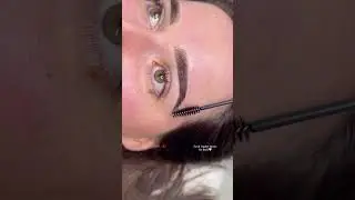Soft & Natural Ombre Brows 🤍  #ombrebrows #softbrows #browtattoo #permanentmakeup #naturalbrows