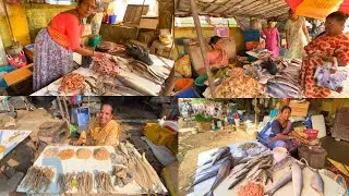 Malad Kharodi Fish 🐟 Market Latest Video | मालाड खारोडी फिश मार्केट