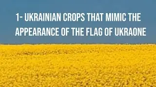10 Fun Facts About Ukraine