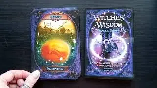 Witches' Wisdom Oracle Cards flip through