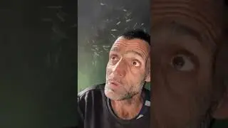 shabir sahab ki Emotional story..Ma Ma hoti hai