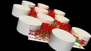Visualization of Flow of Circulating Tumor Cells and Blood Cell Suspensions in Microfluidics