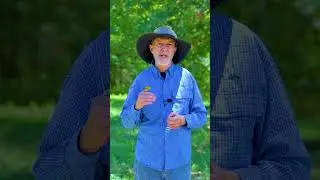 How the wind can be used to your advantage - Hunting Tips