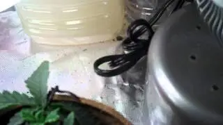 kidkush growbox update #1