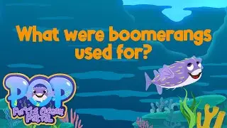 POP: What were boomerangs used for? | kids science and HASS education