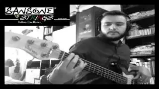 Matteo Carlini SANSONE 5 STRINGS SET / SADOWSKY NYC