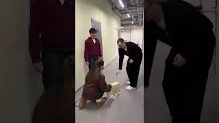 Это был увлекательный аттракцион