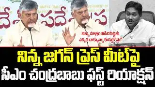 Chandrababu Sensational Decision Today | Chandrababu Fires on YS Jagan Press meet | ISM Telugu