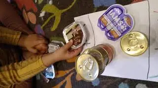 cat food Trading