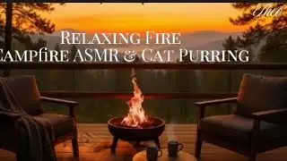 Ночной релакс: мурлыканье и звук костра. Night Relax: Purring & Fireplace Sounds, 