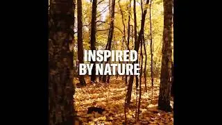 Alstone HPL Inspired by Nature