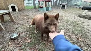 Wednesday check in! Updates!