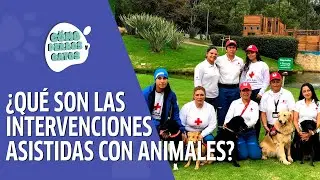 &iquest;En qu&eacute; consisten las intervenciones asistidas con animales?