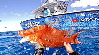 Bahamas SpearFishing! FreeDive Scare 😬! Hogfish - Catch Clean and Cook
