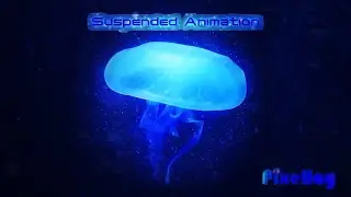 Pixellay - Suspended Animation