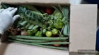 Vegetables parcel delivery during Covid Lockdown