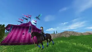 SSO Glitches 2021!