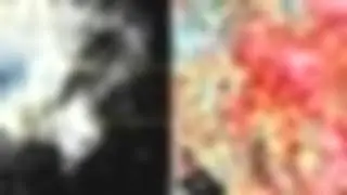 Butterfly swarm shows up on Denver radar system - BBC NewsBBC News