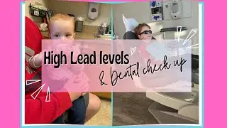 High lead levels and Dental check ups.