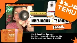 Late Night ✨Temu Haul ✨ Shenanigans! Broken Items? My Face on a Stamp!?