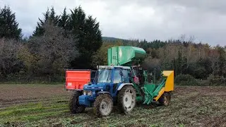 ДОСТАВЛЯЕМ И УДЕРЖИВАЕМ ЕЩЕ НЕМНОГО КОРМОВОЙ СВЕКЛЫ!! ~ Ford 7610 и Armer Salmon Cheetah!! 🇮🇪