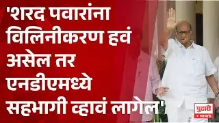 Pudhari News | 'शरद पवारांना विलिनीकरण हवं असेल तर एनडीएमध्ये सहभागी व्हावं लागेल'
