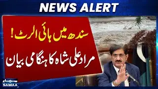 Sindh Floods | Murad Ali Shah Warns of Food Crisis Without Agricultural Emergency | Samaa TV
