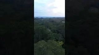 Aerial View of Amazon Rainforest ,mystery of Amazon #rainforest #amazon #forest #aerial #amazonriver