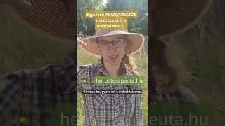 #aranyvessző #m&aacute;j #h&oacute;lyaggyullad&aacute;s #&iacute;z&uuml;let# vese #tiszt&iacute;t&oacute;k&uacute;ra #epe