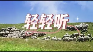 《轻轻听》安静等候，渴慕聆听