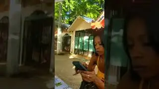 EVERYDAY LIFE IN SOSUA DOMINICAN REPUBLIC!! Zero #stress Zero #drama 24/7 #happy
