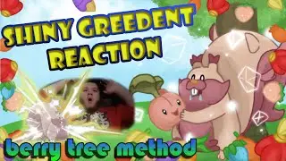 ✨Live Shiny Greedent Berry Tree Method! Extrelmy Rare Shiny + Magikarp!✨