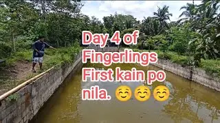 Day 4 of Fingerlings first kain po nila