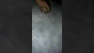 Sean vs ralph ultimate battle amazing pogs