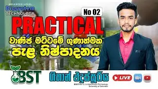 Practical Day 02 | BST | Gihan Edussuriya
