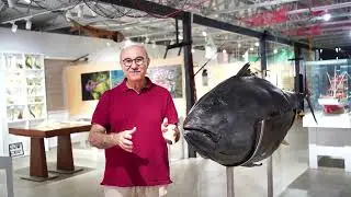 UMUT PİNA - PROF. DR. MUSTAFA SARI