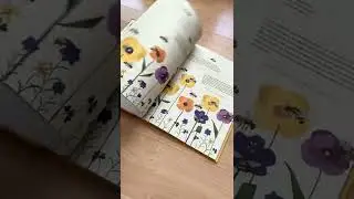 Libro El mundo de las abejas - Editorial aManuta
