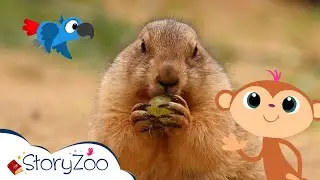 #StoryZoo | StoryZoo in The Zoo | Learn About Prairie Dogs! | Educational Videos for Children