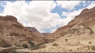 David Water Found in the Deserts of Ein Gedi