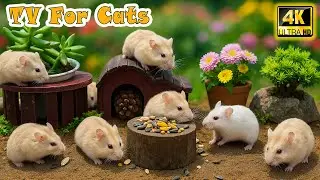 🔴 Interactive Cat TV📺Best Video to Prevent Boredom & No Stress for Lonely Cats－Realistic Mouse Video