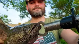 The Weirdest Northern Snakehead Catch I've Ever Had - PA Northern Snakehead Fishing