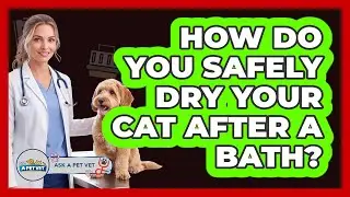 How Do You Safely Dry Your Cat After A Bath?