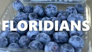 Farm Share got its start by working with local Florida farmers to capture underutilized produce.
