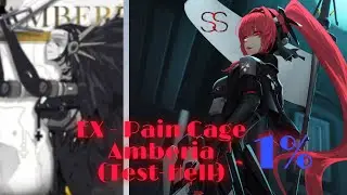 Punishing Gray Raven CN EX Pain Cage Amberia vs SS Vera(Flare)