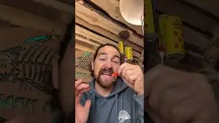 Lady Bug Spoons Crush Trout