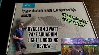 Hygger Aquarium Light Review!! @Hygger-Aquarium #plantedtank