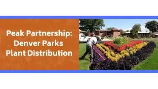Denver Parks & Recreation Improve the Tracking and Distribution of Spring Plants
