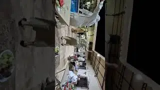 سهرة طرب بحضور كبار فنانين حلب الفنان مصطفى هلال والفنان احمد مهندس بدعوة كريمة من الحاج احمد رمضان 