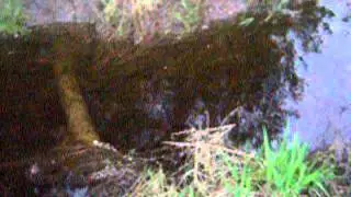 &ldquo;Fishing in Russia (Angeln in Russland) &ndash; 05.26.2015&rdquo;.