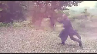 Shaolin Warrior Shifu Kanishka ( Shi Yanyou)